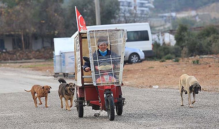 Gülümser Yılmaz'ın 'iyilik' yolculuğu: Üç tekerlekli bisikletiyle sokak hayvanlarının karnını doyuruyor