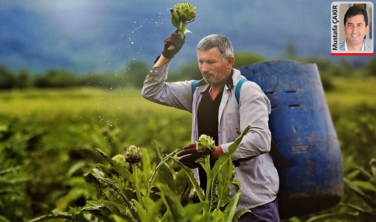 Bakanlık topu kooperatiflere, kooperatifler de hükümete atıyor: Çiftçiyi duyan yok