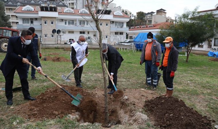 Marmaris'te sağlık emekçilerinin anısına fidan dikildi