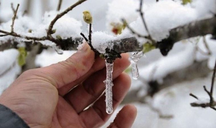 Meteoroloji bu kez hem zirai don hem de fırtınaya karşı uyardı