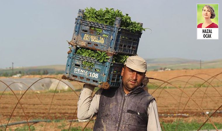 Hükümet, kamuda çalışan geçici işçilere uzun zaman önce verdiği ‘kadro’ vaadini unuttu