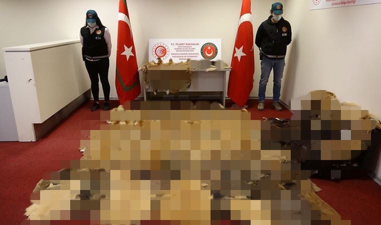 Esenboğa Havalimanı’nda düzenlenen 2 farklı operasyonla kaçakçılara darbe: 19 gözaltı