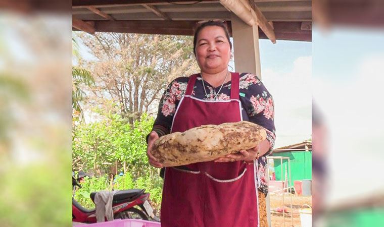 Tayland'da yürüyüşe çıkan kadın milyonluk balina kusmuğu buldu