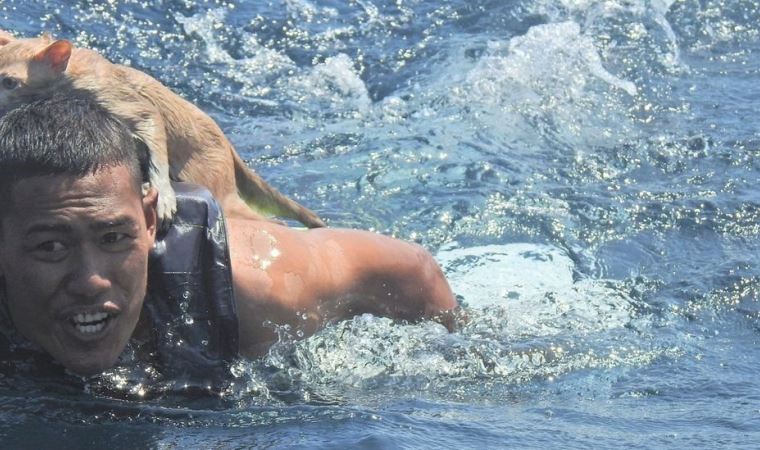 Tayland donanmasına bağlı denizciler yanmakta olan gemide mahsur kalan 4 kediyi kurtardı