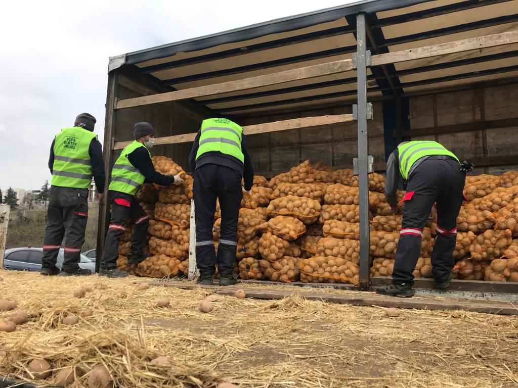 Patates ve soğanlar ücretsiz dağıtılmaya başlandı - Resim : 1