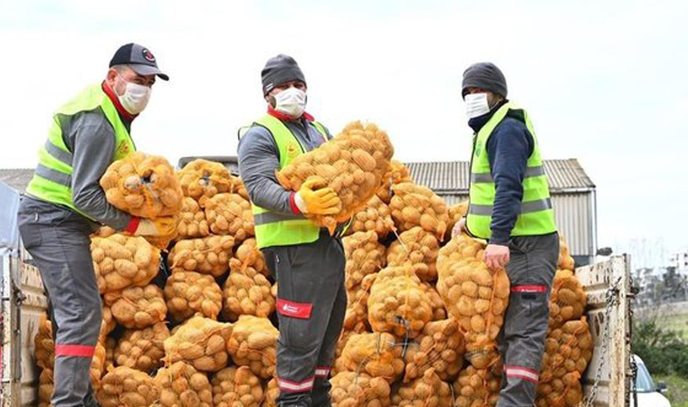 Tarım yazarı Ali Ekber Yıldırım: Patates dağıtımındaki rakamlar gerçek değil