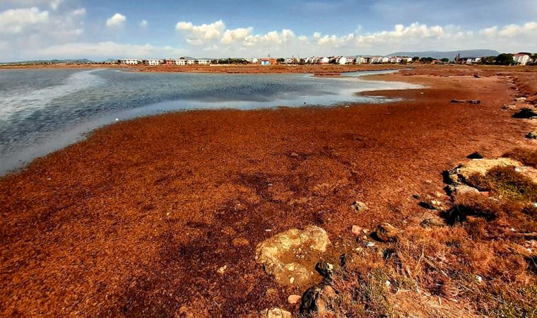 Karakoç Deresi sulak alan olarak korunacak