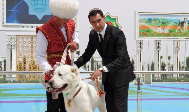 Türkmenistan'da yerli çoban köpeği türü Alabaylar onuruna ulusal tatil