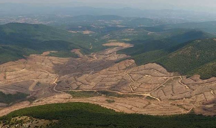 Pakdemirli: Kazdağları'ndaki saha bakanlığımıza devredildi