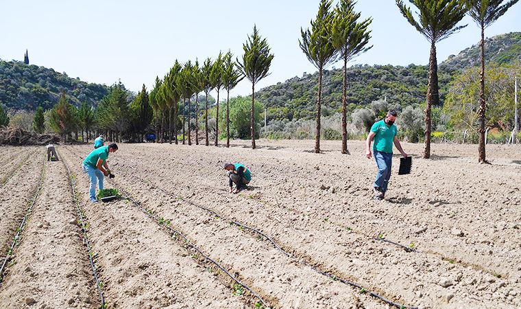 Kuşadası'nda ata tohumları toprakla buluştu