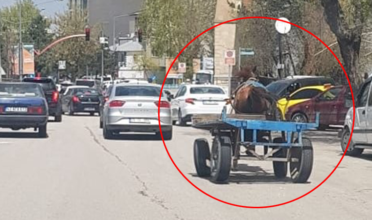 erzurum da sahibinden kacan at trafige girdi cok sayida arac hasar gordu