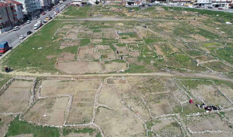 İstanbul'da sanayi sitesi ve binalar arasında 'köy hayatı'