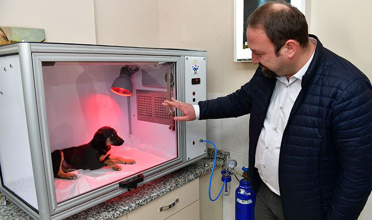 Çiğli'de hastalanan sokak sakinleri için 'yaşam kapsülü'