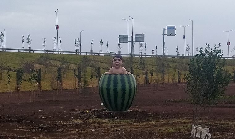 Diyarbakır'a 