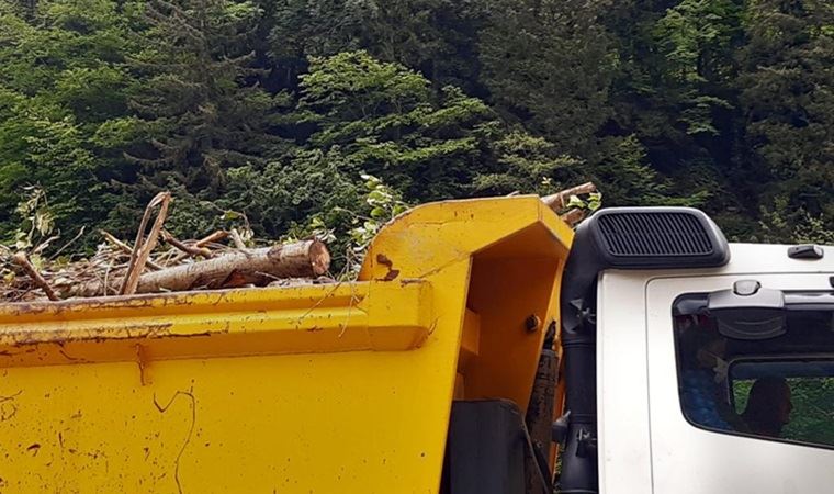 Bakan İsmailoğlu'nun ziyareti öncesi Cengiz İnşaat katledilen ağaçları taşıdı