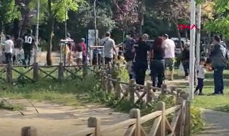 Kadıköy'de parkta yoğunluk oluştu, polis yurttaşları uzaklaştırdı