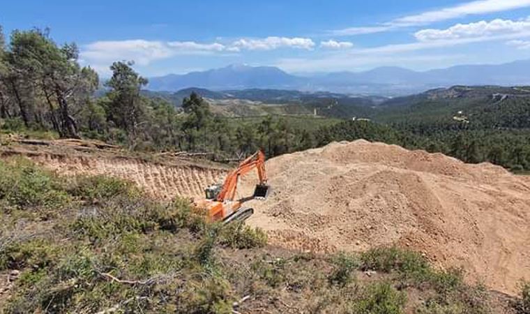 Denizli'de kekik tarlaları otoban için feda ediliyor