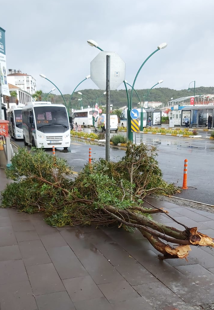 Ayvalık'ta etkili olan fırtınada 20 tekne battı