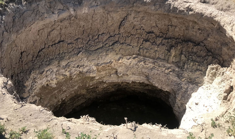 Tedirgin eden görüntü, sayısı her geçen gün çoğalıyor