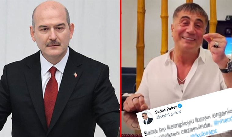 Sedat Peker'den, 'Soylu' açıklaması: Saat akşam altıda sana bir hediyem var