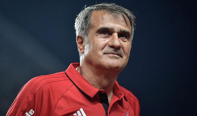 Şenol Güneş EURO 2020'ye dair açıklamalarda bulundu