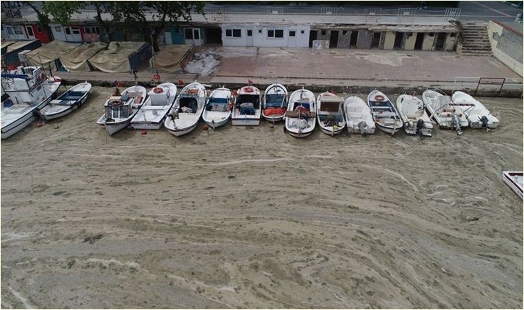 Marmara'daki kabus ABD'de gündem oldu