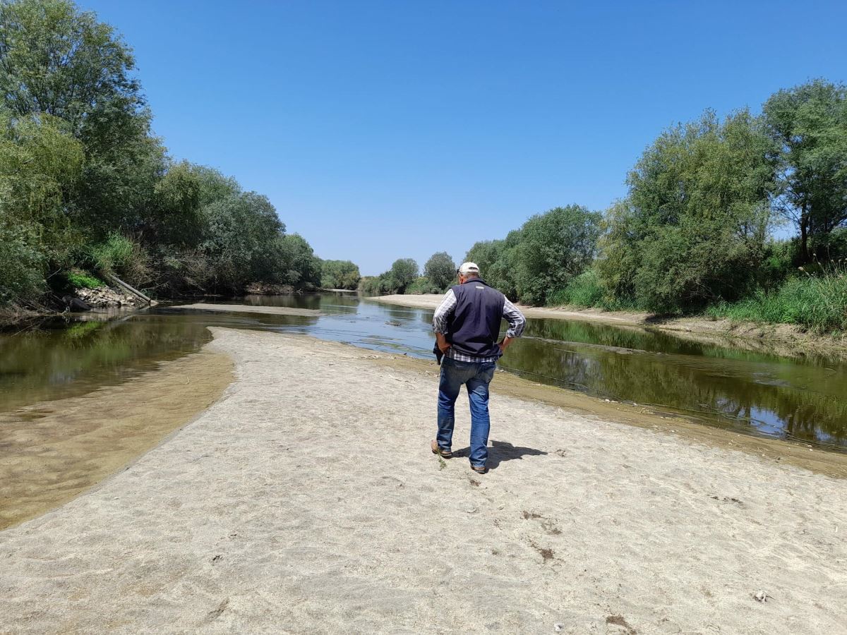 İlk kez böyle görüntülendi, Büyük Menderes Nehri kurudu