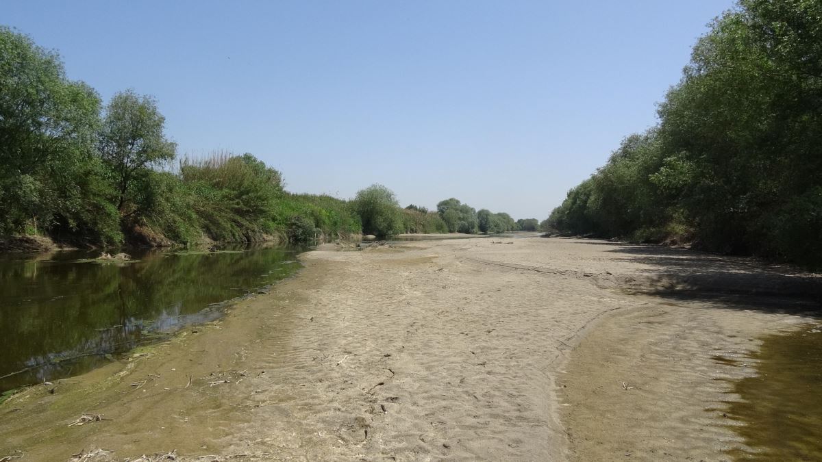 İlk kez böyle görüntülendi, Büyük Menderes Nehri kurudu