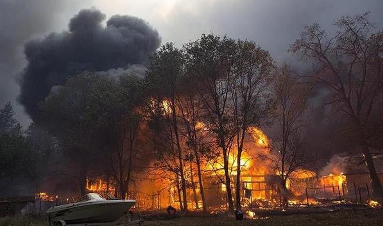 California'da geçen yılki yangından bu yana dumanı tüten bir Sekoya ağacı keşfedildi