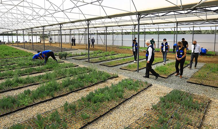 Muğla'da çiftçiye 'çatısız' eğitim merkezi