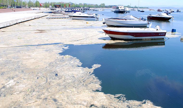 CHP'den müsilaj sorunu hakkında forum