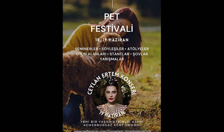 Bu festivalde kediye de köpeğe de yer var!