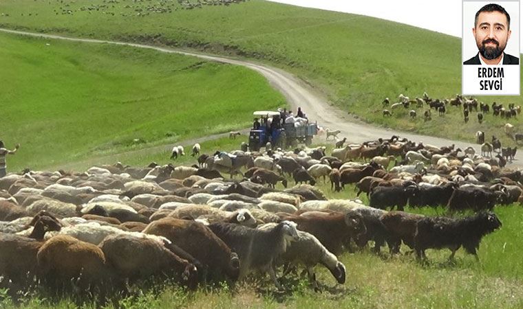 CHP Ekonomi Masasından inceleme: ‘Devlet tefeci olmuş’