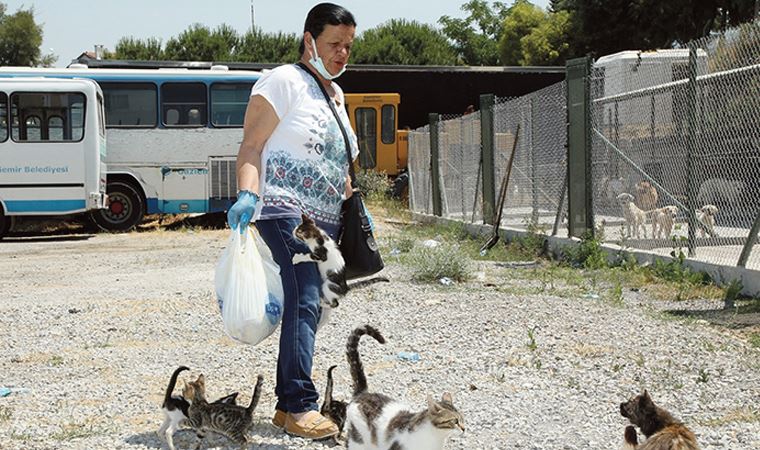 Sokak hayvanlarına adanmış bir ömür