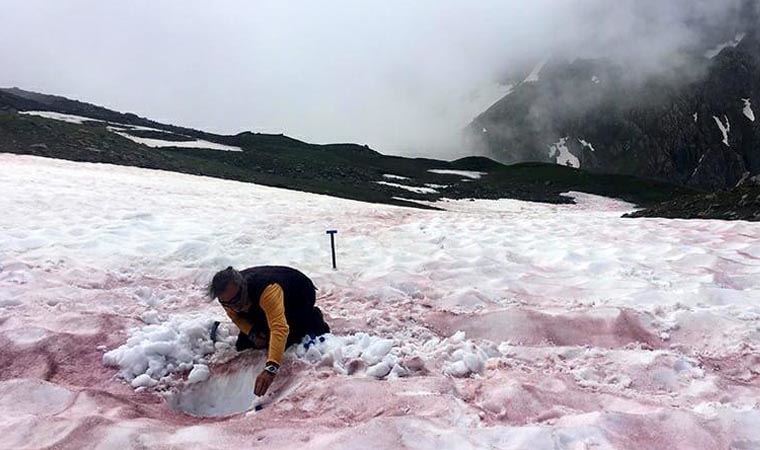 Alp dağlarında 'kırmızı kar' görüldü