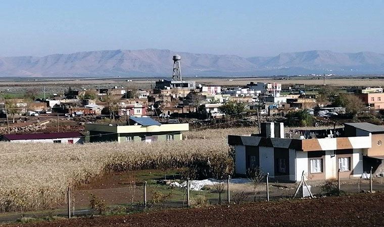 Mardin'de silahlı saldırı: 1 ölü 2 yaralı