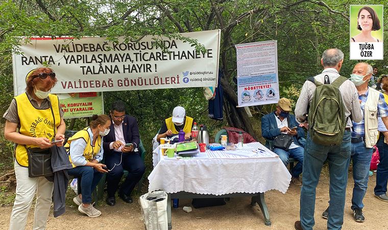 Validebağ Gönüllüleri, koru içinde nöbet eylemi başlattı