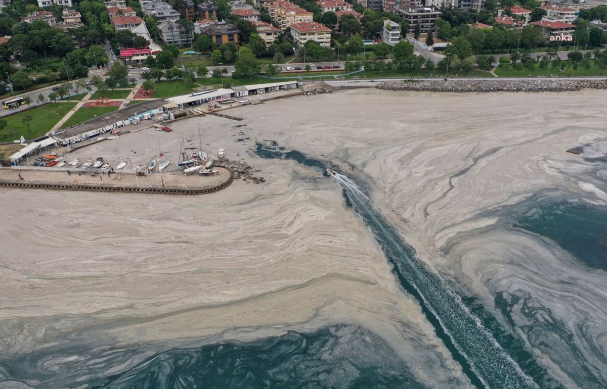 'Müsilajı ekonomik değer haline getirecek çözüm ürettik'