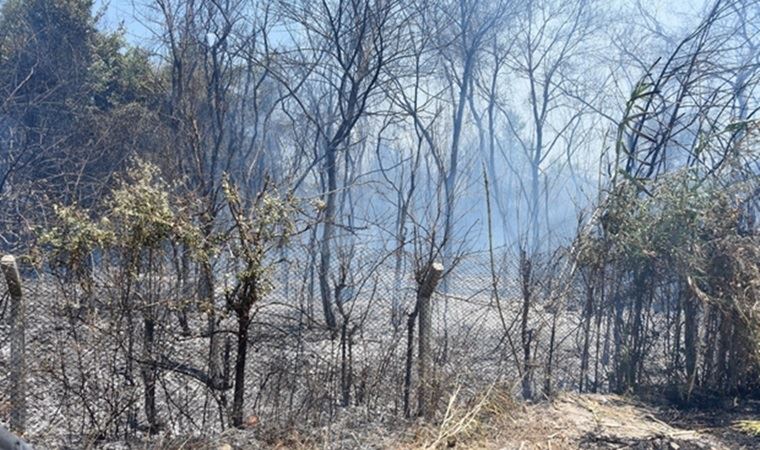 Muğla'da cezaevi çevresi ve TİGEM arazilerinde yangın