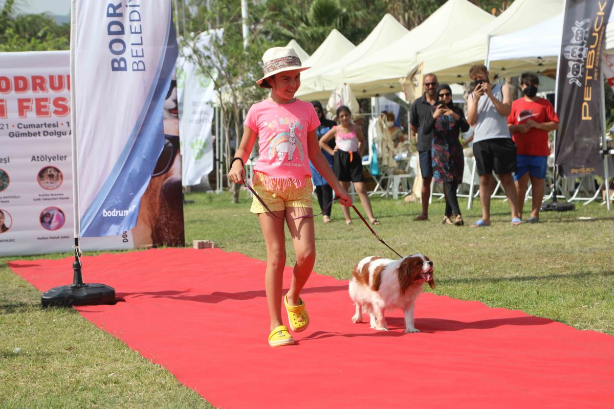 Bodrum Patifest: Can dostların yetenek yarışı