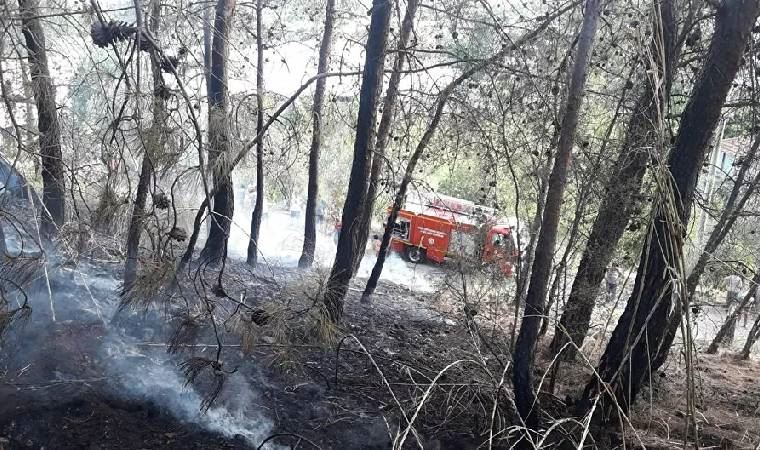 Fethiye'deki orman yangını söndürüldü: 2 dönüm alan zarar gördü