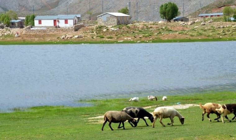 Dipsiz Göl ve Eğri Göl yapılaşma tehdidi altında