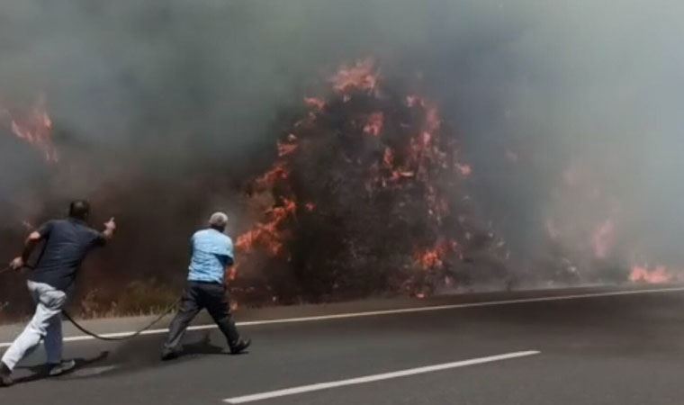 Ula'da orman yangını: Evler tahliye edildi