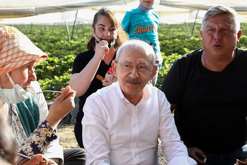 Kılıçdaroğlu, Aydın'da çiftçilerle çilek hasadı yaptı