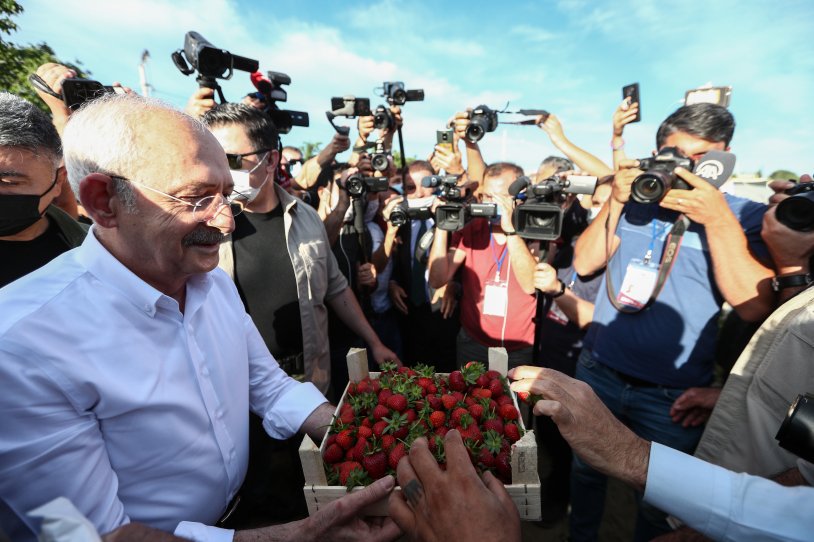 Kılıçdaroğlu, Aydın'da çiftçilerle çilek hasadı yaptı