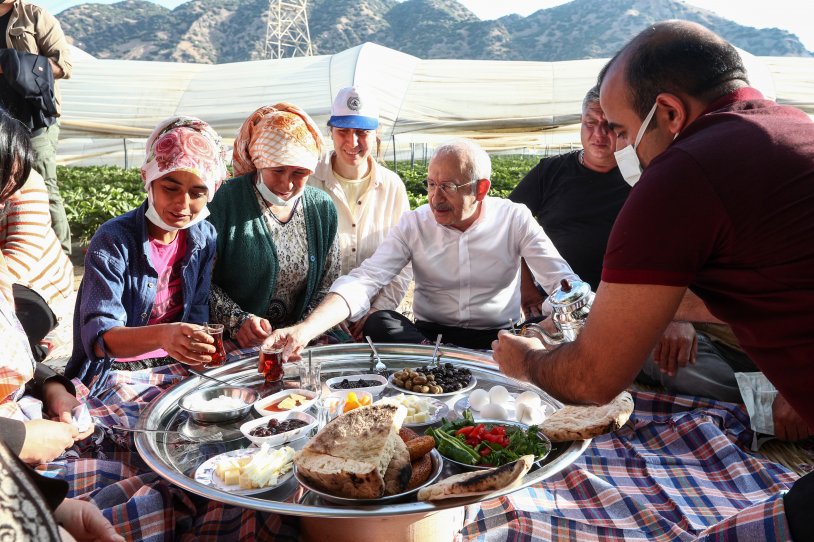 Kılıçdaroğlu, Aydın'da çiftçilerle çilek hasadı yaptı