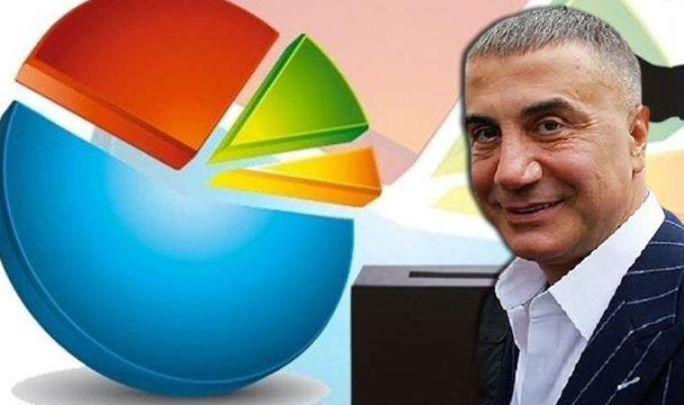 Ankette Peker sorusuna dikkat çeken yanıt