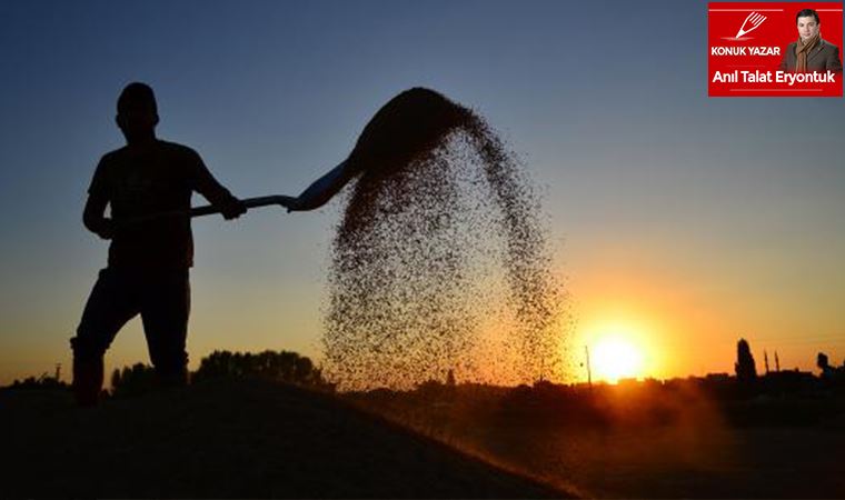 Türkiye genelinde olduğu gibi Ege Bölgesi'ndeki çiftçiler de perişan