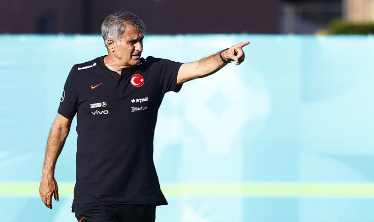 Şenol Güneş: 