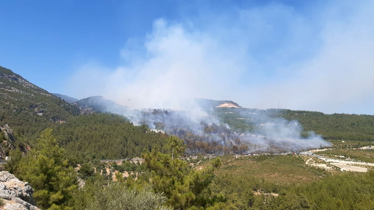 Orman yangını çıktı yollar ulaşıma kapatıldı